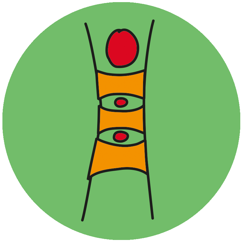 Maennchen Logo4